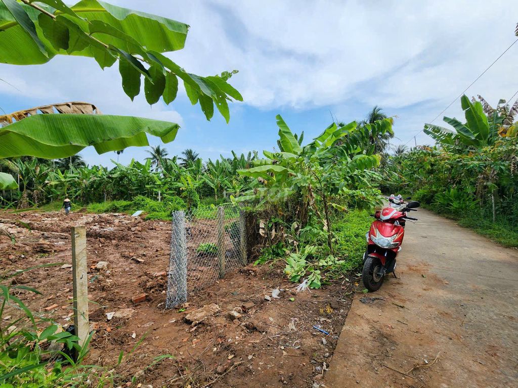 4324467 ảnh đại diện 2