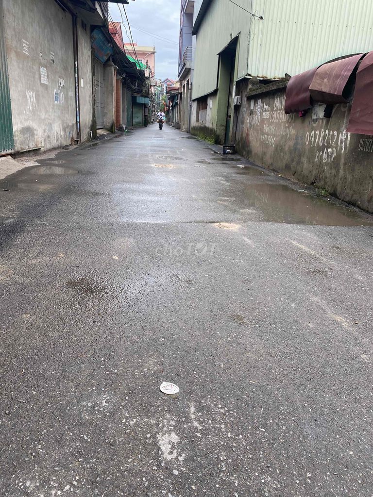 4323259 ảnh đại diện 2