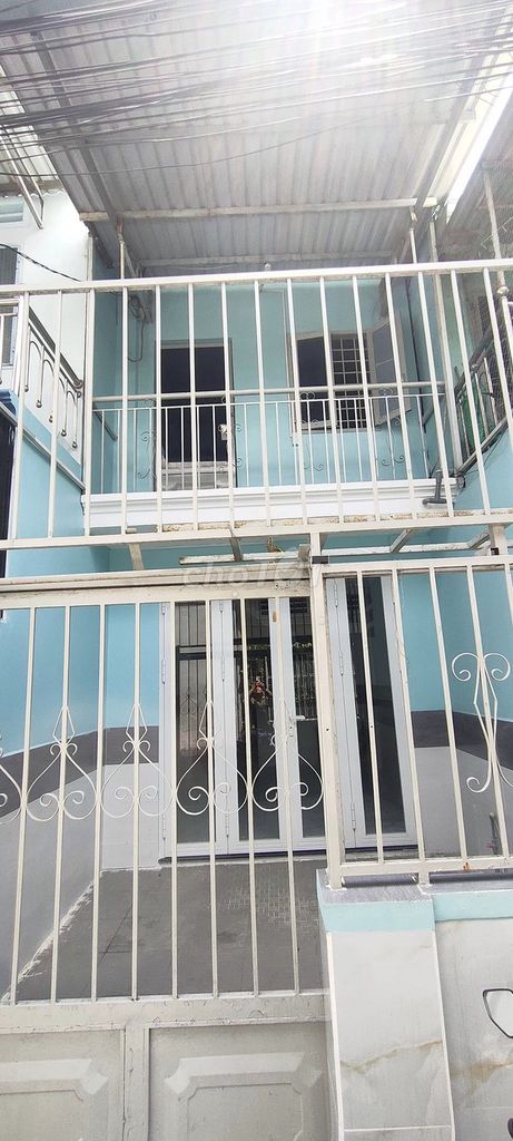 4323283 ảnh đại diện 2