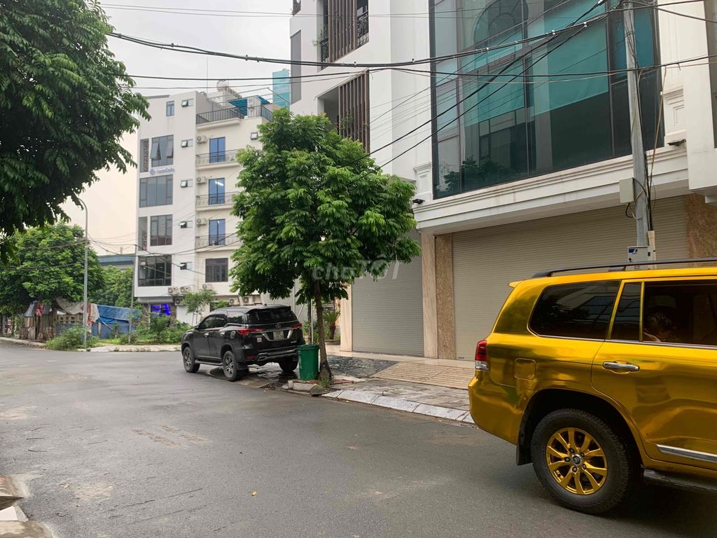 4323338 ảnh đại diện 1