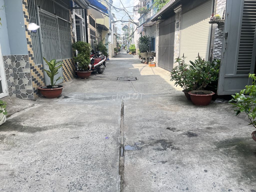 4323207 ảnh đại diện 2