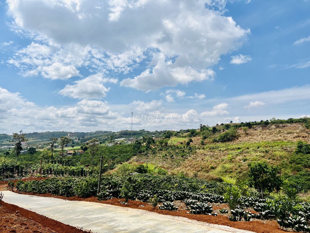 4324136 ảnh đại diện 1