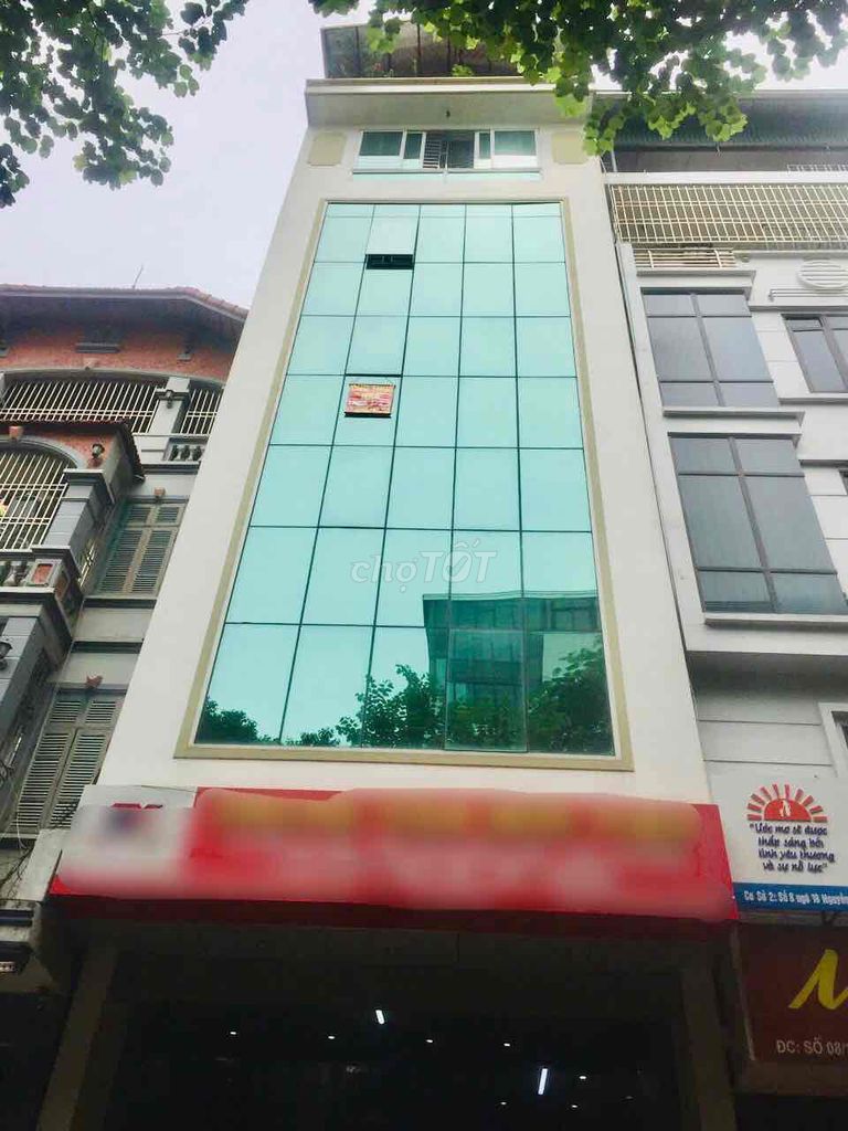 4322982 ảnh đại diện 1