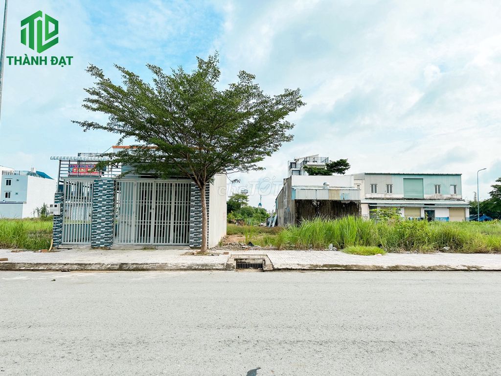 4323861 ảnh đại diện 1