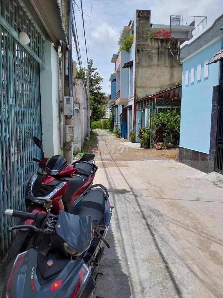 4324963 ảnh đại diện 1