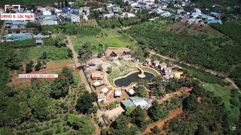4323080 ảnh đại diện 1