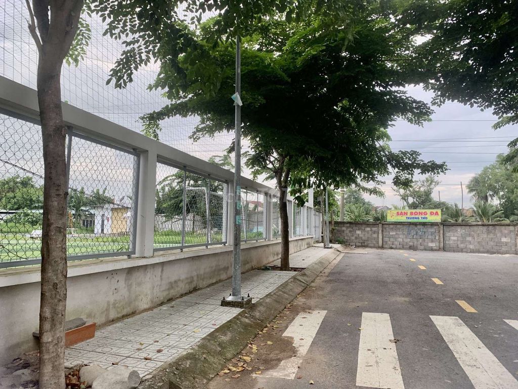 4324159 ảnh đại diện 1