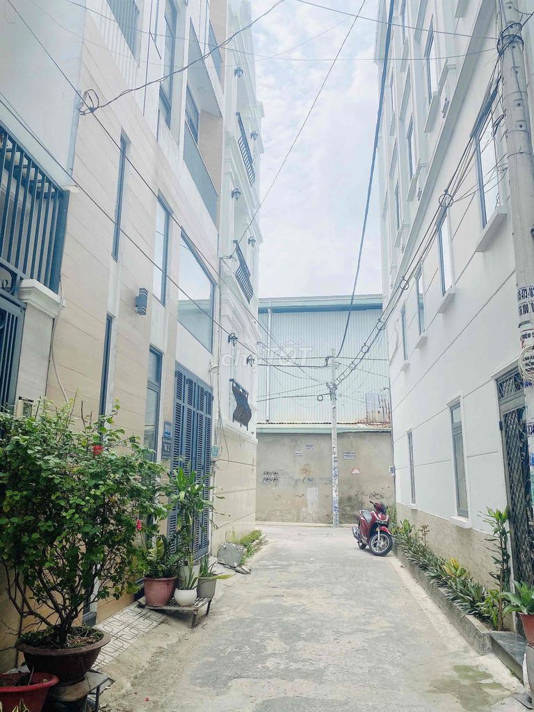 4326319 ảnh đại diện 1