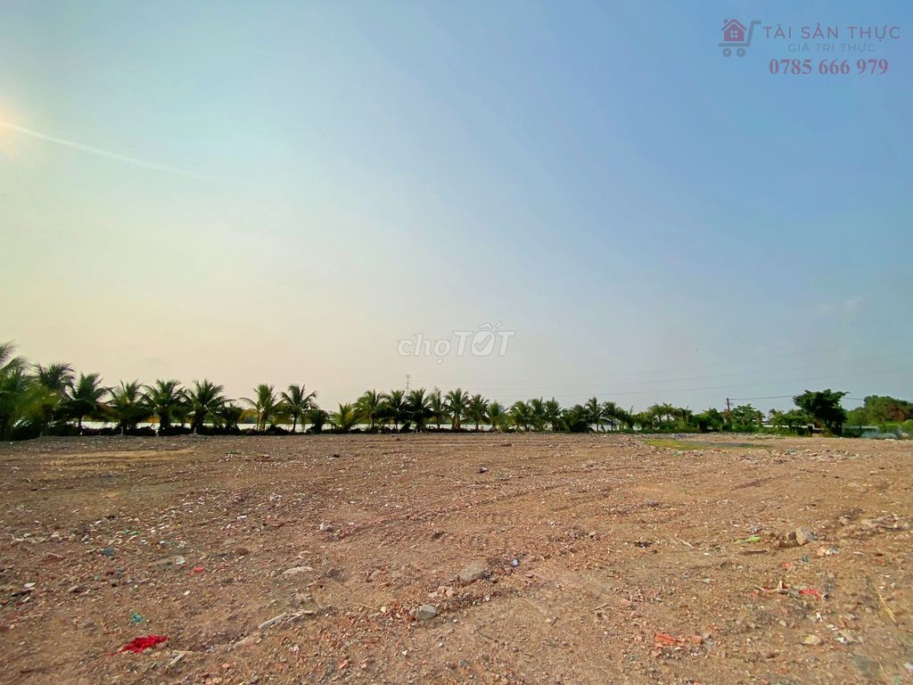 4325153 ảnh đại diện 1