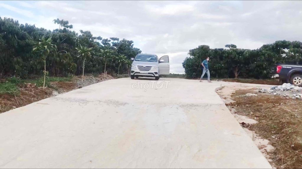 4324143 ảnh đại diện 2