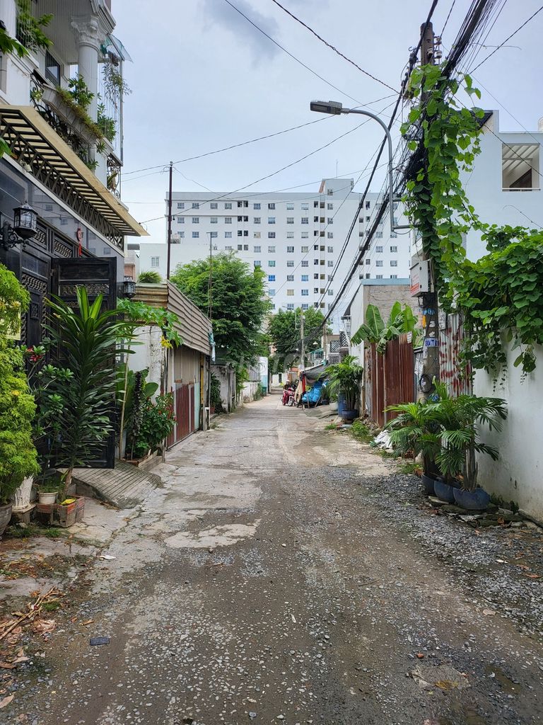 4324951 ảnh đại diện 2