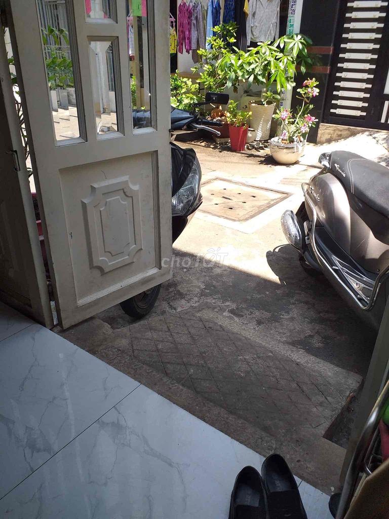 4325996 ảnh đại diện 2