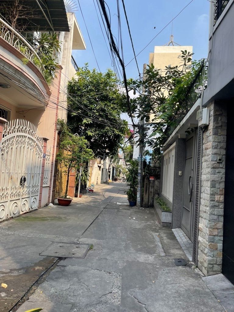 4325006 ảnh đại diện 1