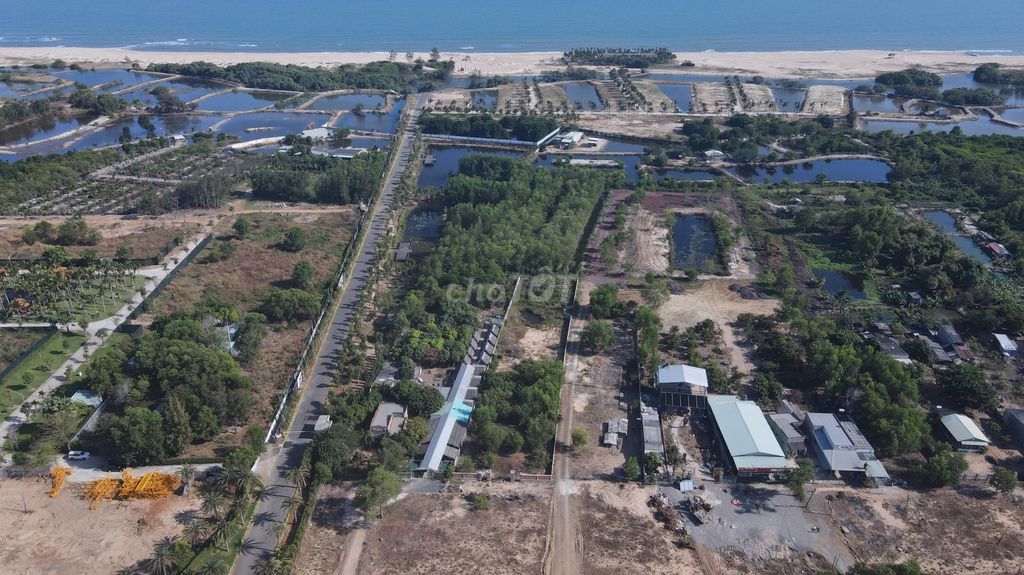 4327206 ảnh đại diện 1