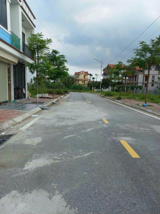 4323208 ảnh đại diện 1