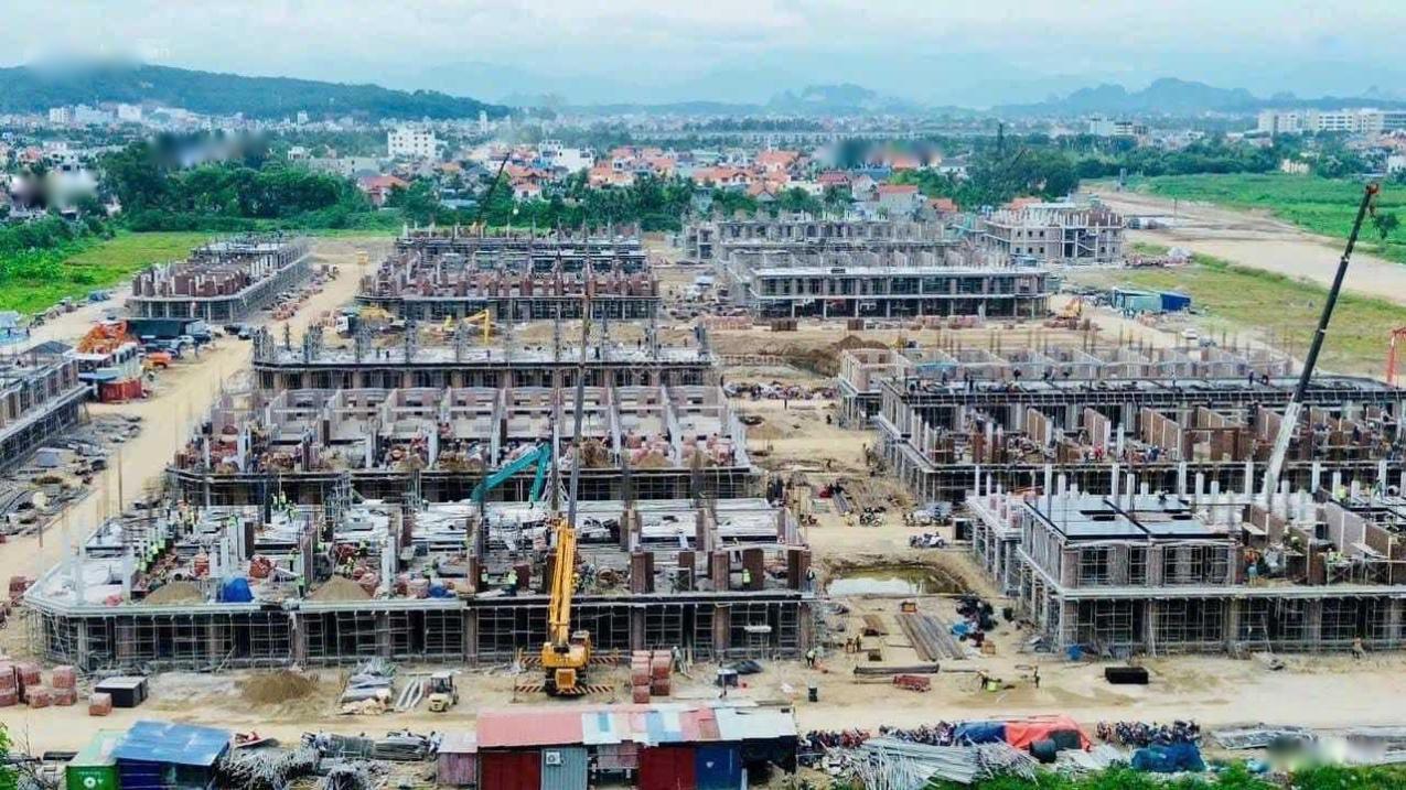4323205 ảnh đại diện 1