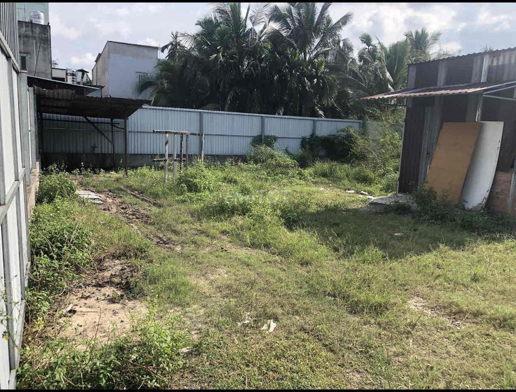 4323166 ảnh đại diện 2