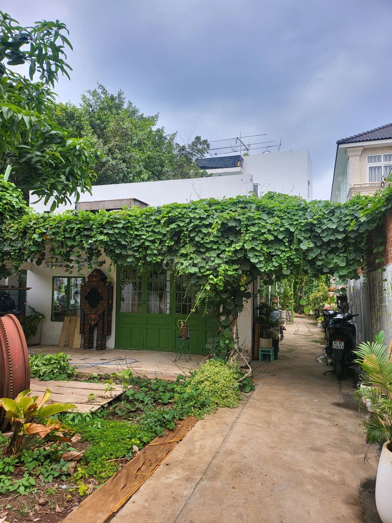 4324951 ảnh đại diện 1