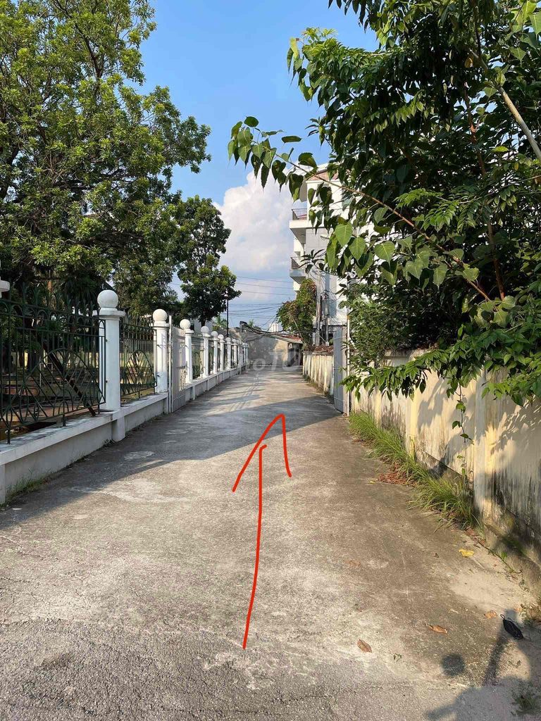 4323030 ảnh đại diện 2
