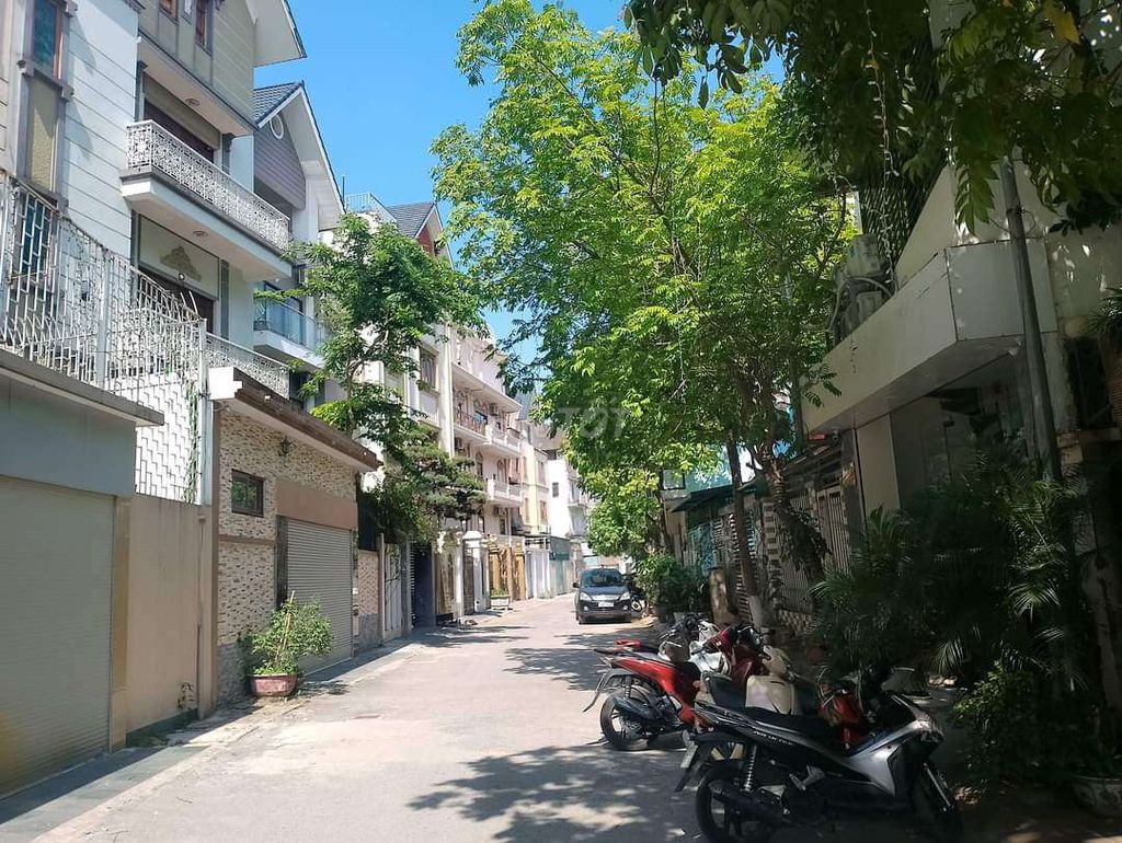 4323497 ảnh đại diện 2