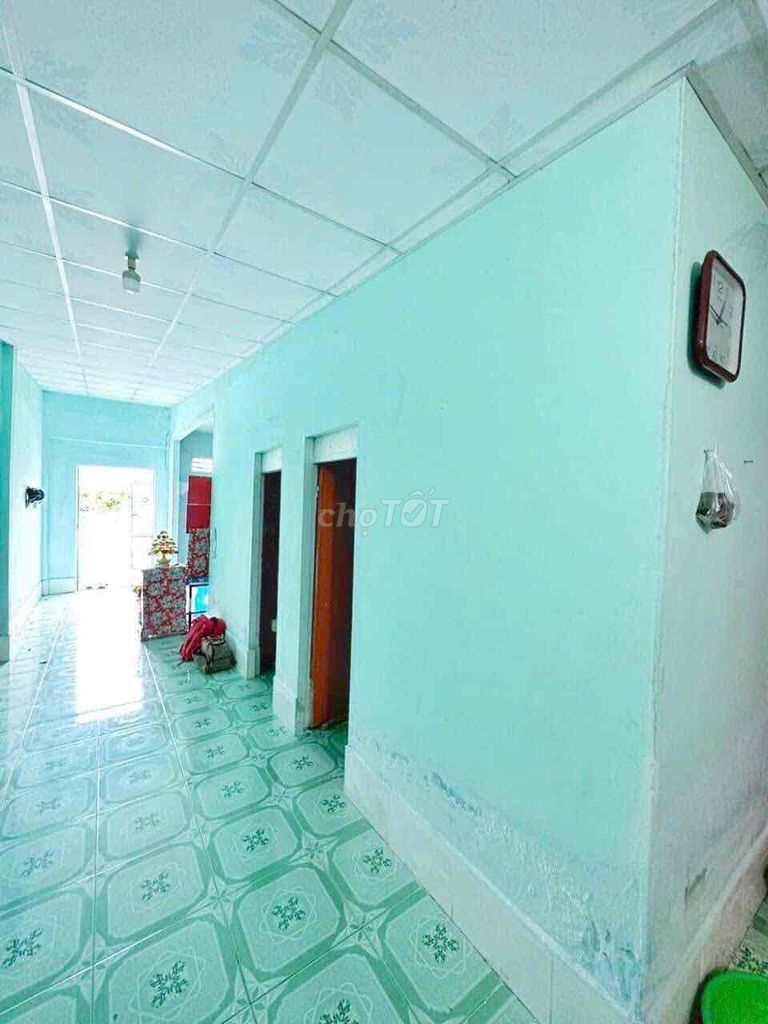 4324872 ảnh đại diện 2