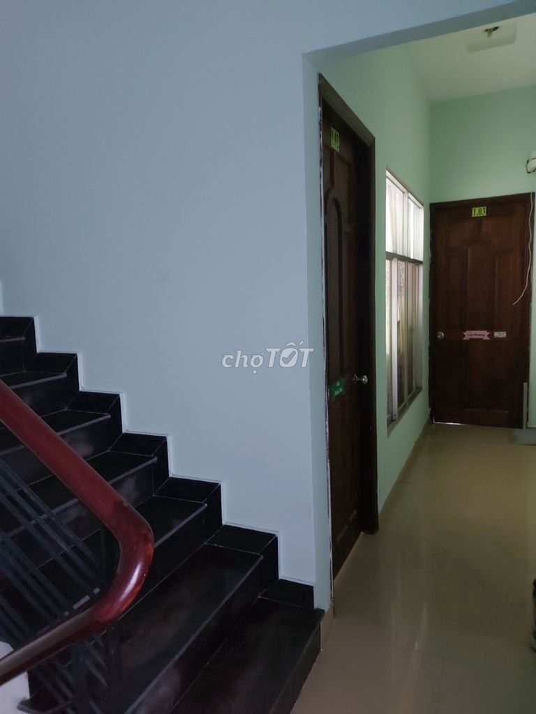 4325263 ảnh đại diện 1