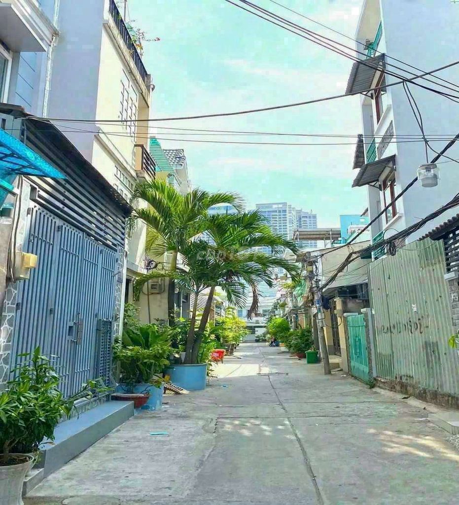 4324983 ảnh đại diện 1