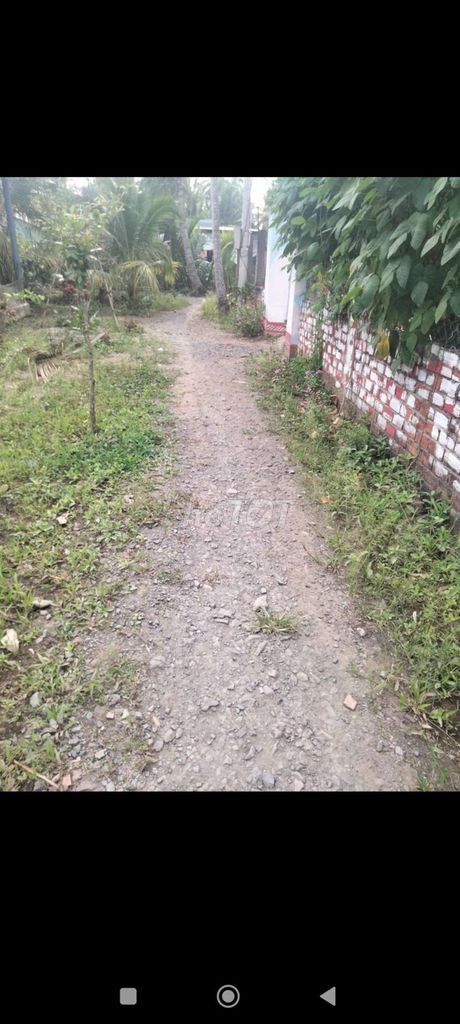 4324586 ảnh đại diện 1