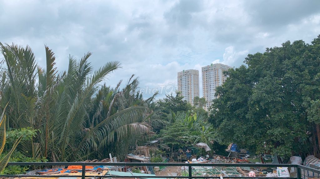 4326080 ảnh đại diện 1