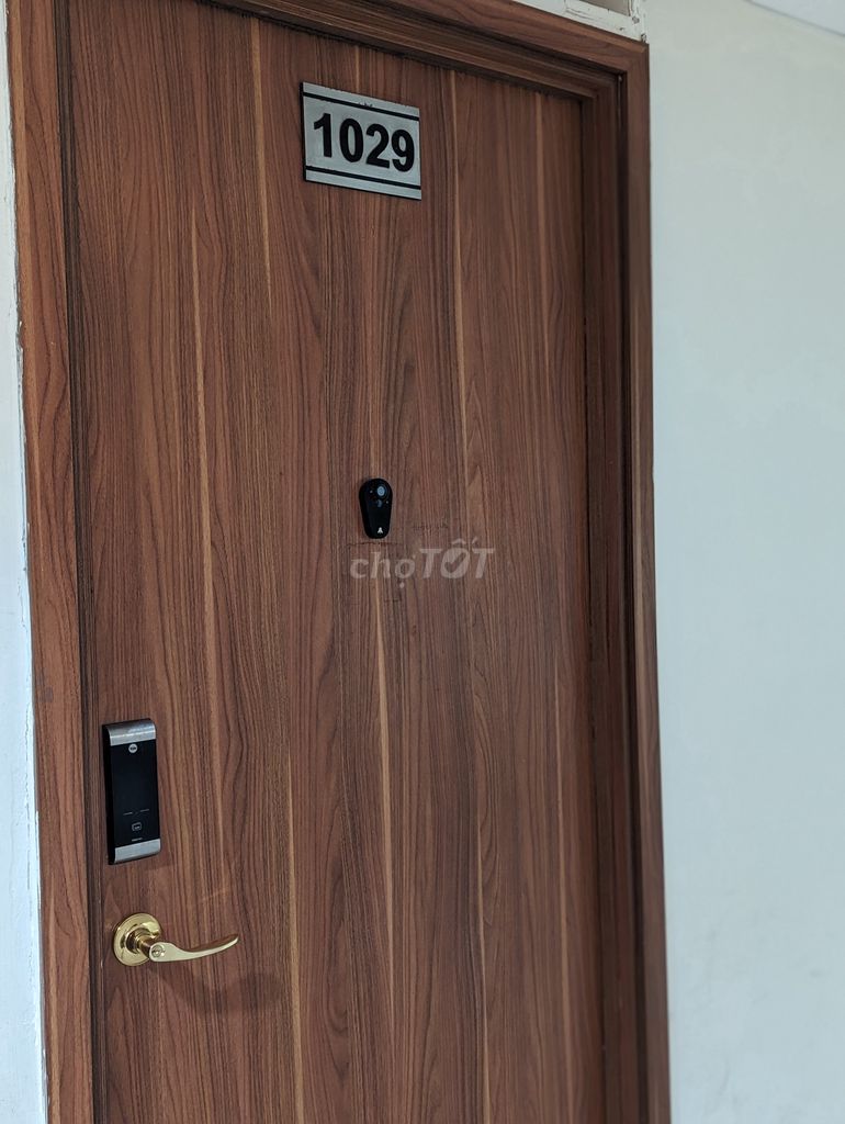 4324255 ảnh đại diện 1
