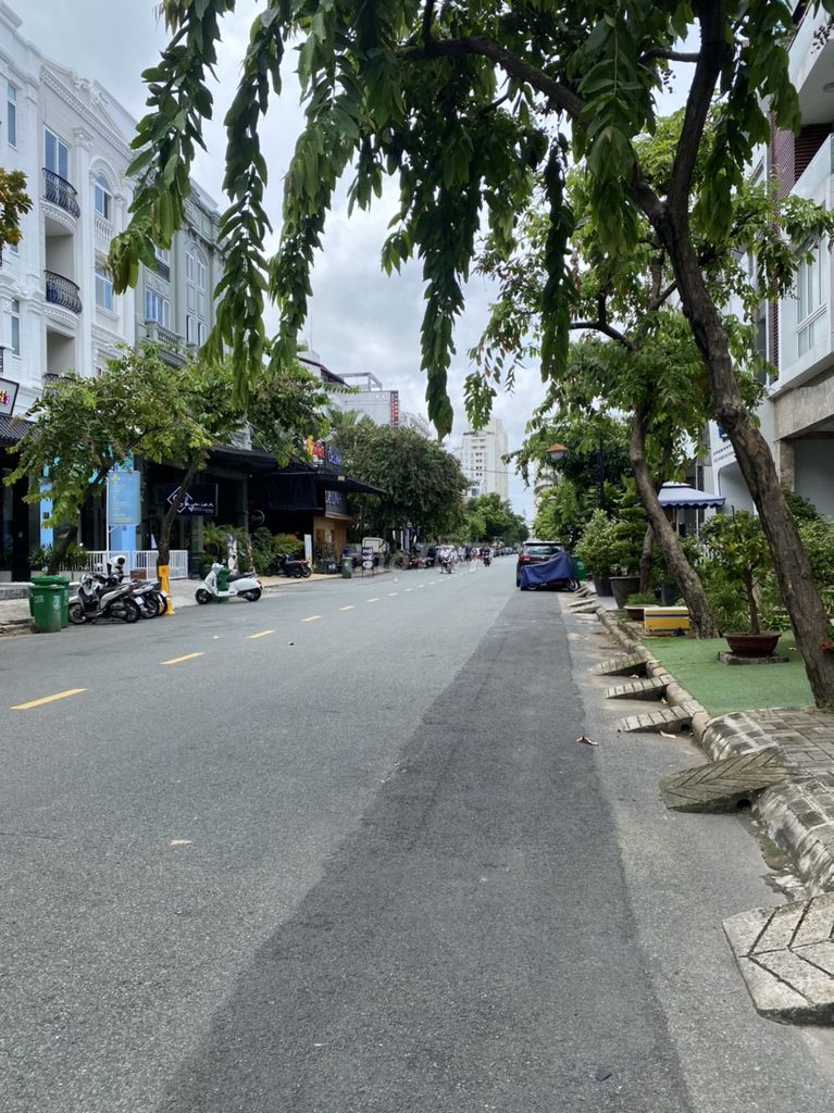 4327031 ảnh đại diện 2