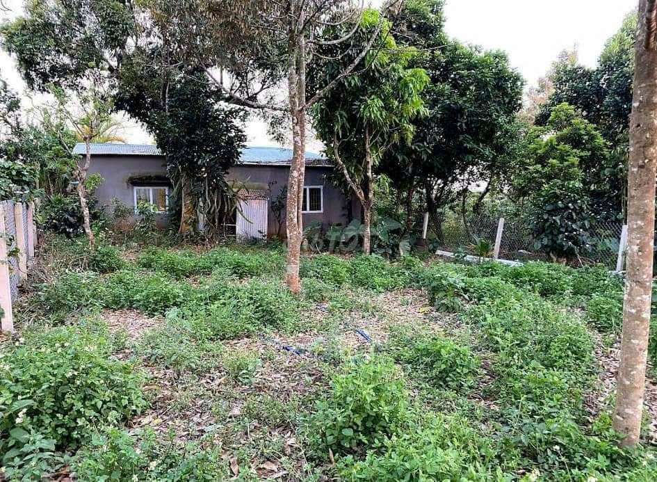 4326170 ảnh đại diện 1