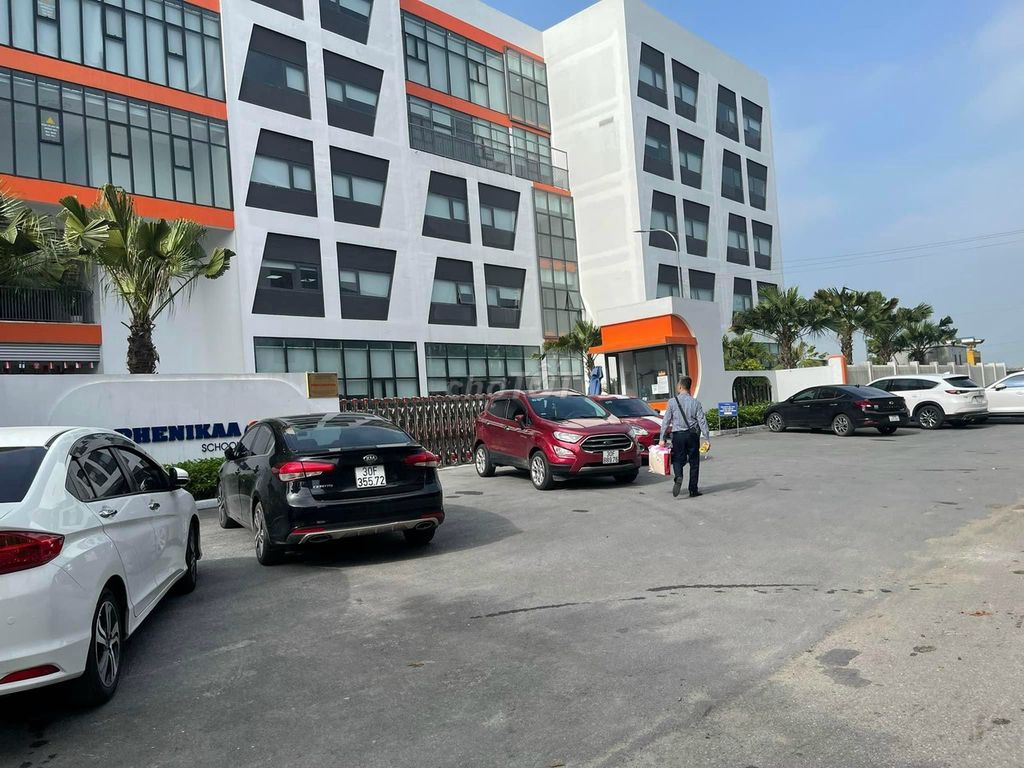 4327166 ảnh đại diện 1