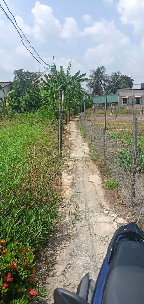 4325278 ảnh đại diện 1