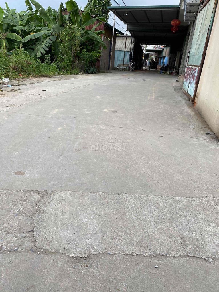 4323259 ảnh đại diện 1