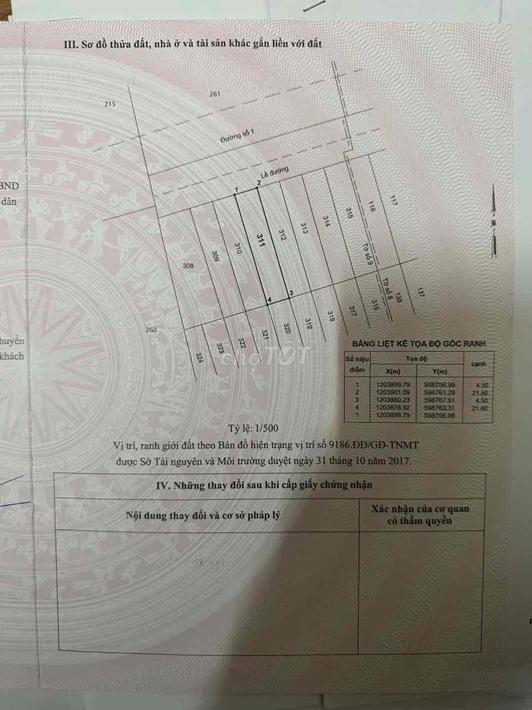 4325171 ảnh đại diện 1