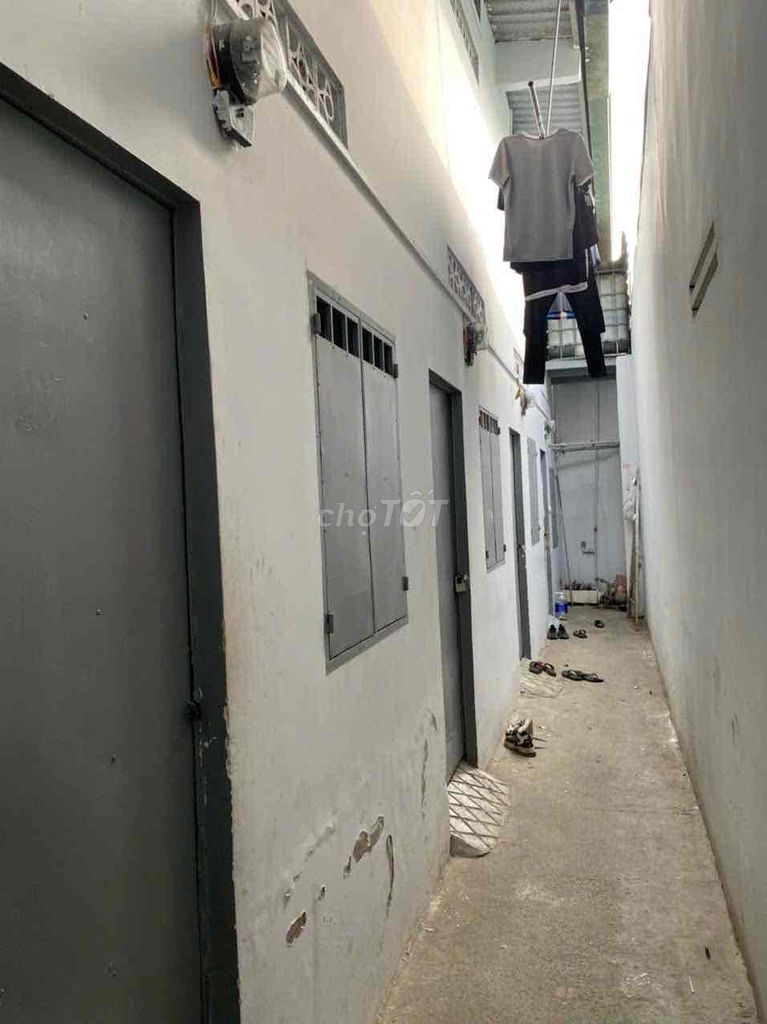 4323837 ảnh đại diện 1