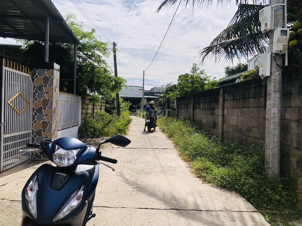 4324369 ảnh đại diện 1