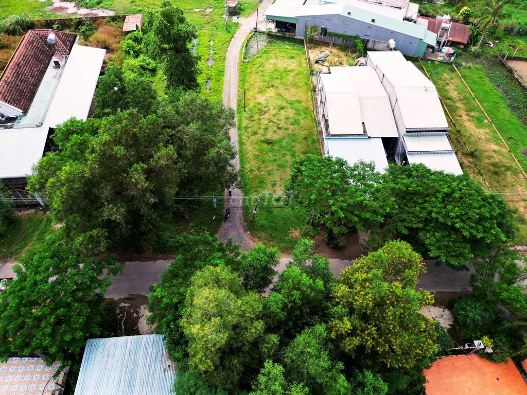 4325137 ảnh đại diện 1
