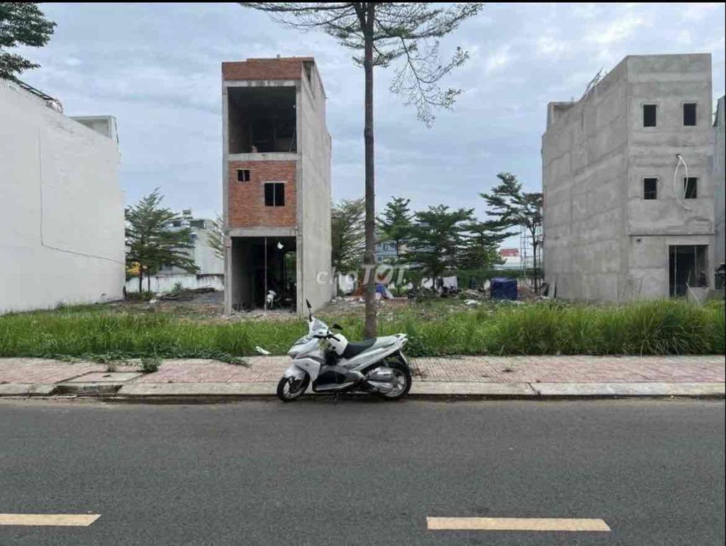 4326190 ảnh đại diện 1