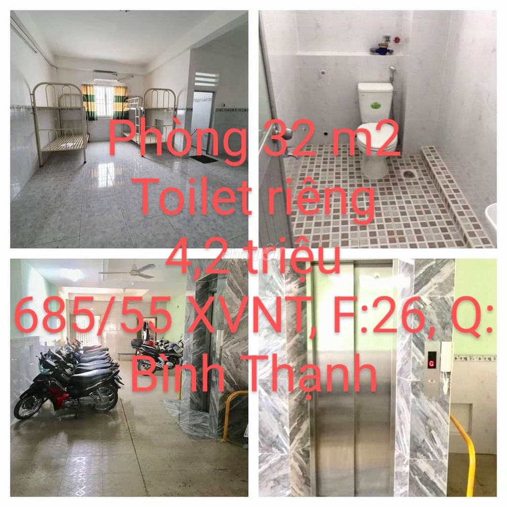 4325356 ảnh đại diện 1