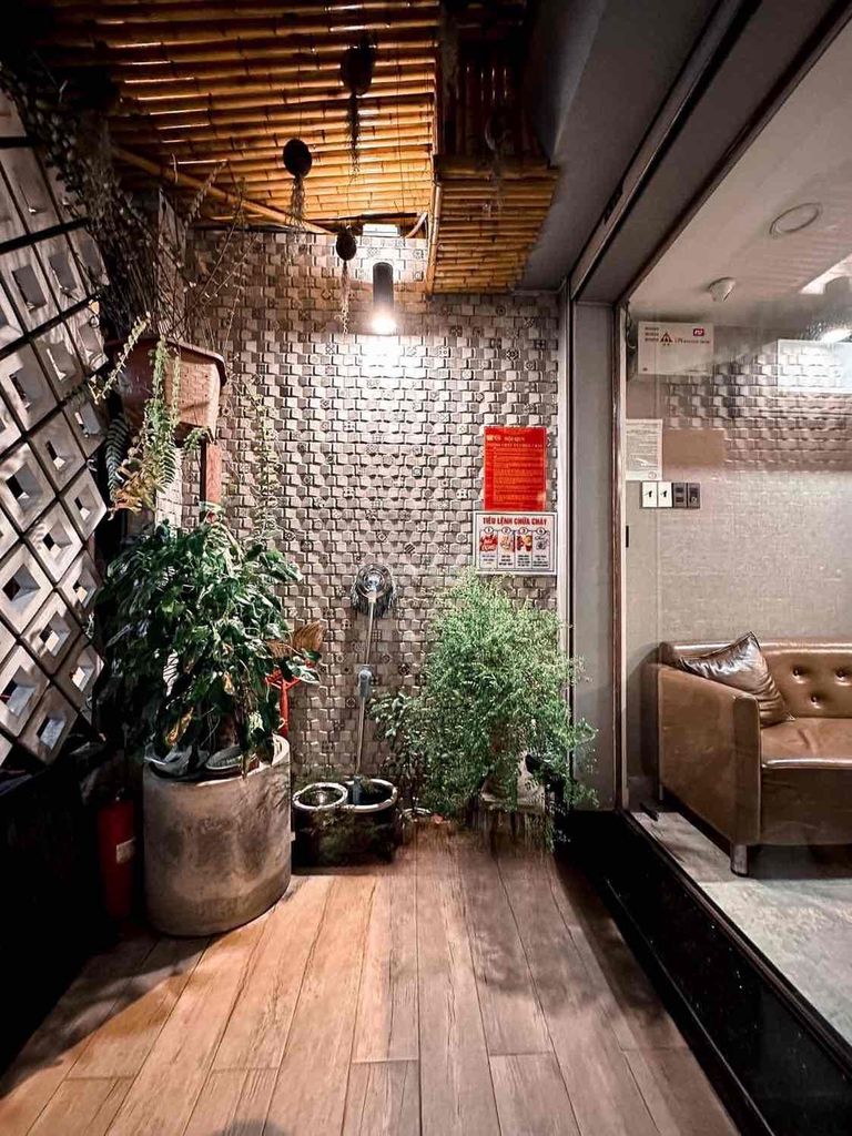 4330894 ảnh đại diện 1