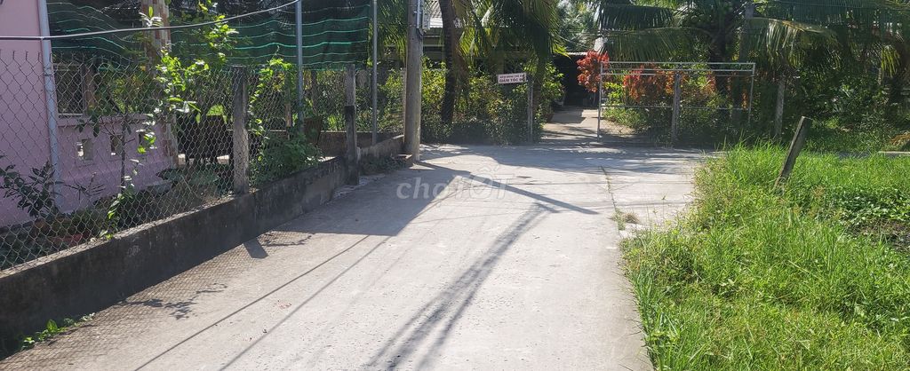 4328905 ảnh đại diện 2