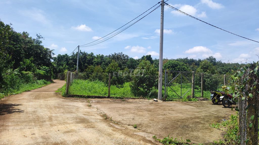 4330110 ảnh đại diện 2