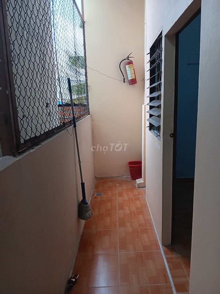 4329294 ảnh đại diện 2