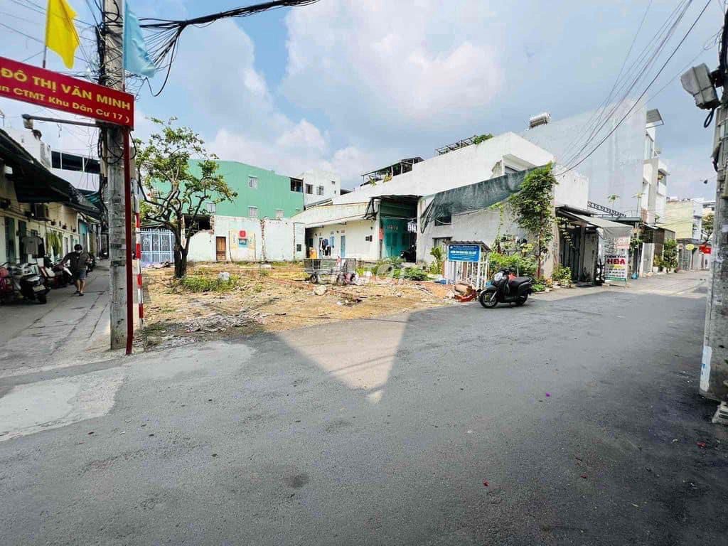 4333169 ảnh đại diện 2