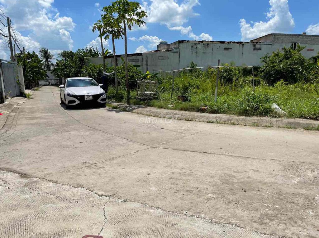4329542 ảnh đại diện 1
