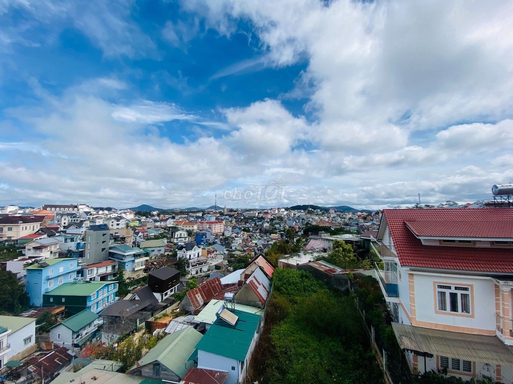 4330543 ảnh đại diện 1