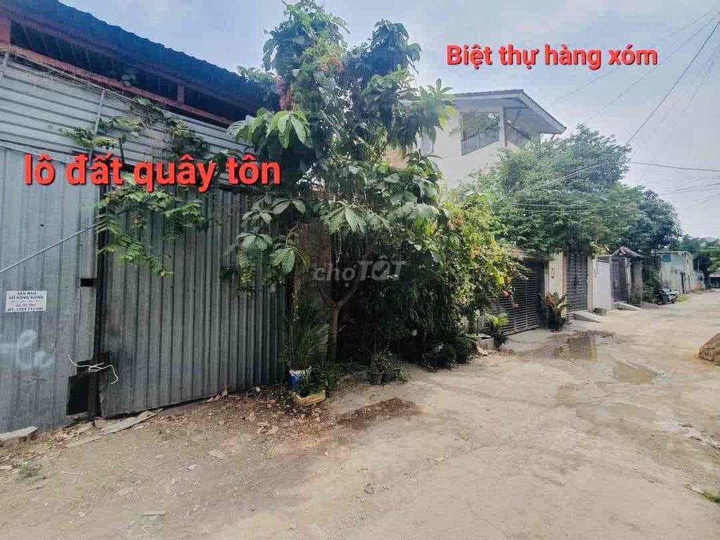 4330844 ảnh đại diện 2