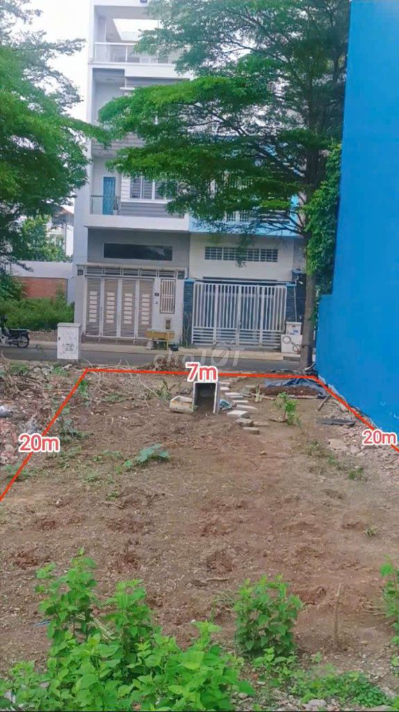 4329057 ảnh đại diện 2
